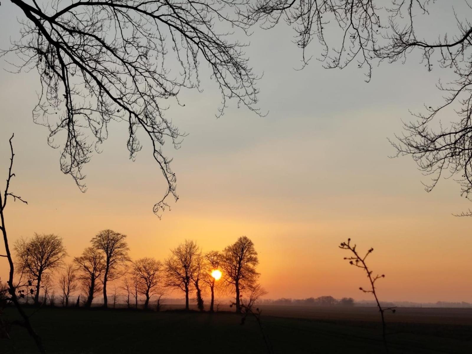 Clos Masure Belmesnil Bagian luar foto
